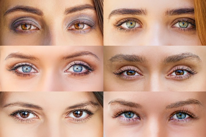 Augenbrauen und Wimpern