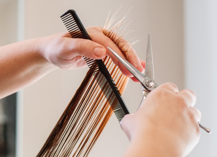 Friseur, der Spliss abschneide