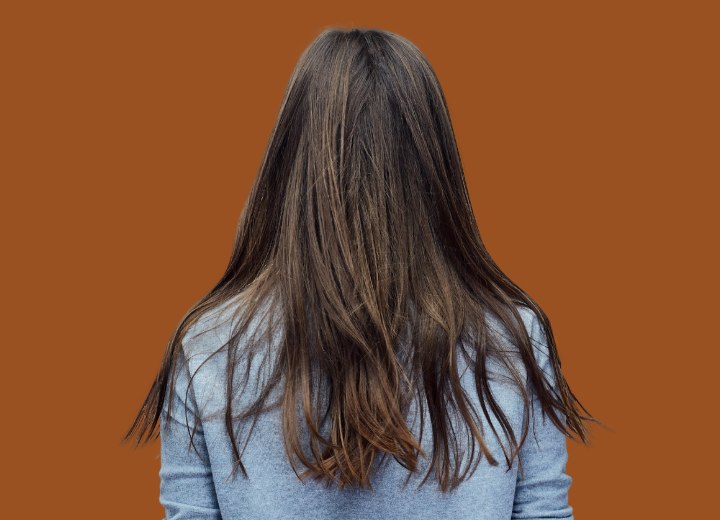 Rückansicht einer Frau mit langen Haaren