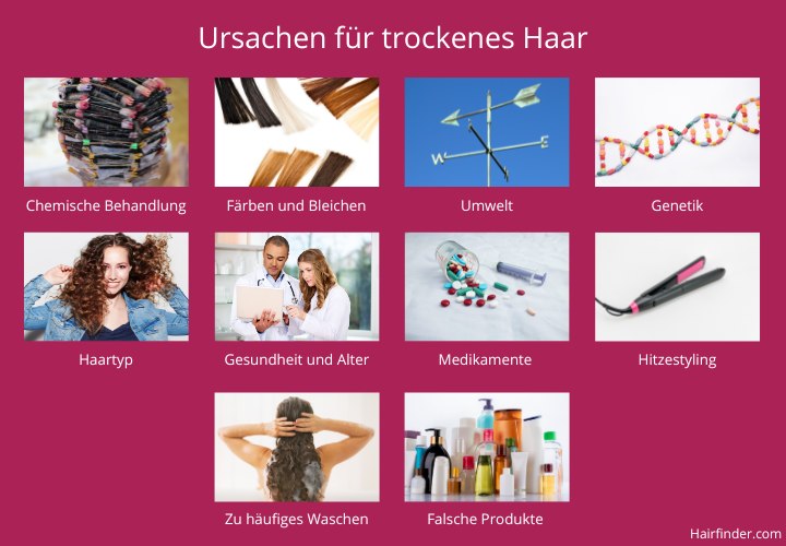Ursachen für trockenes Haar