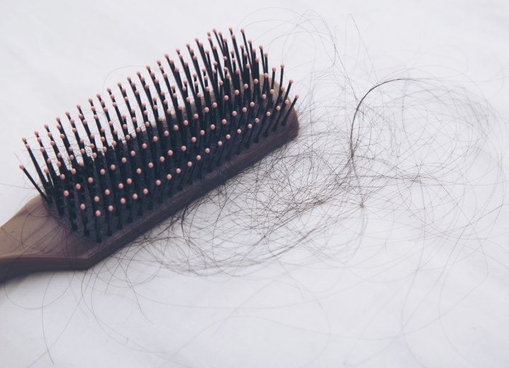 Verlorene Haare auf einer Bürste