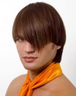 vorige Frisur