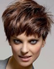 vorige Frisur