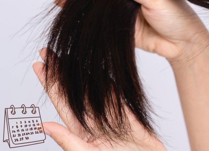Haare, die im Laufe der Zeit geschädigt werden